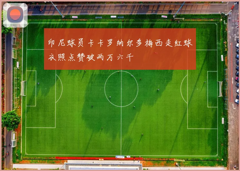 印尼球员卡卡罗纳尔多梅西走红球衣照点赞破两万六千