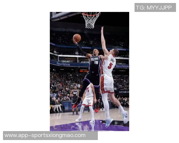 热火队遭遇伤病困扰阿德巴约和希罗将缺席第四场比赛